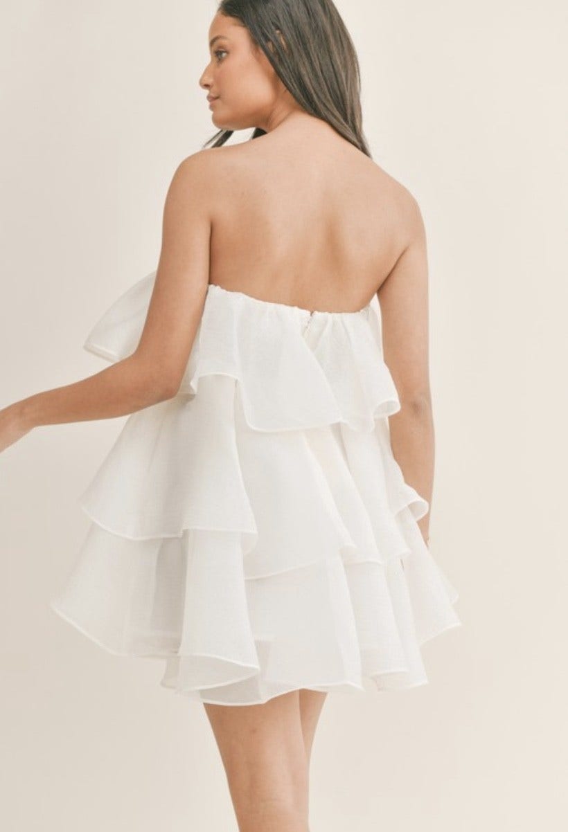 Bandeau Mini Dress | Ames and Leigh Boutique