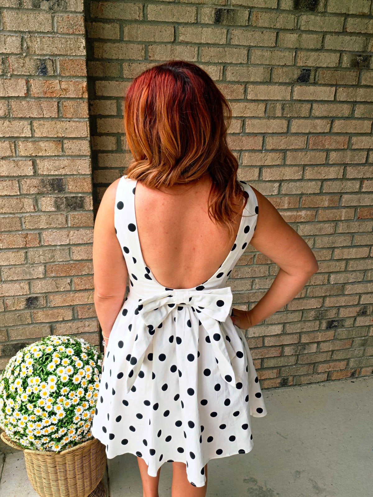open back polka dot dress Cream & Black Open Back Polka Dot Dress