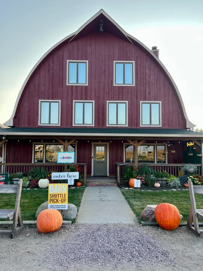 Barnyard Licorice | Barn Festival