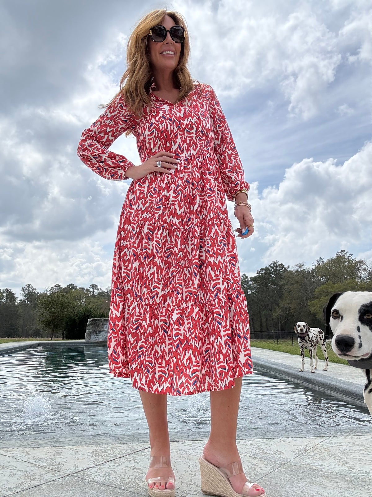 Printed Notched Long Sleeve Dress
