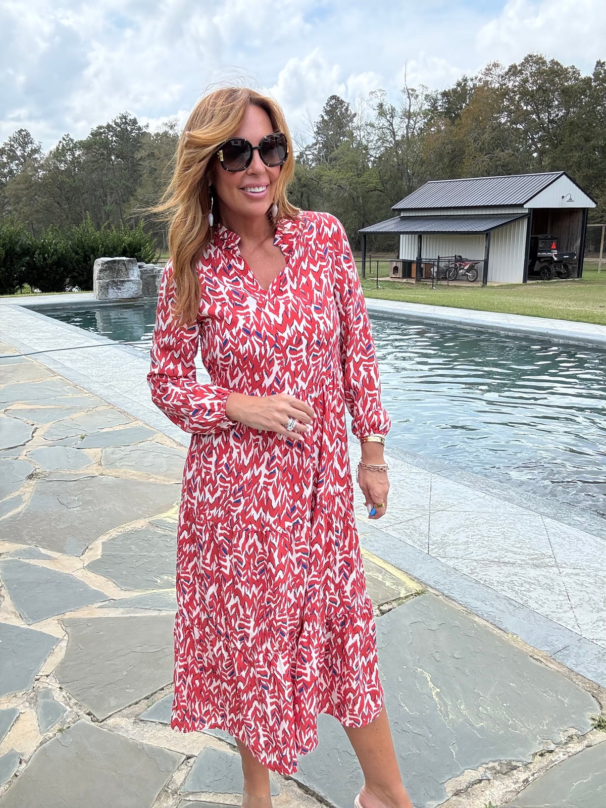 Printed Notched Long Sleeve Dress