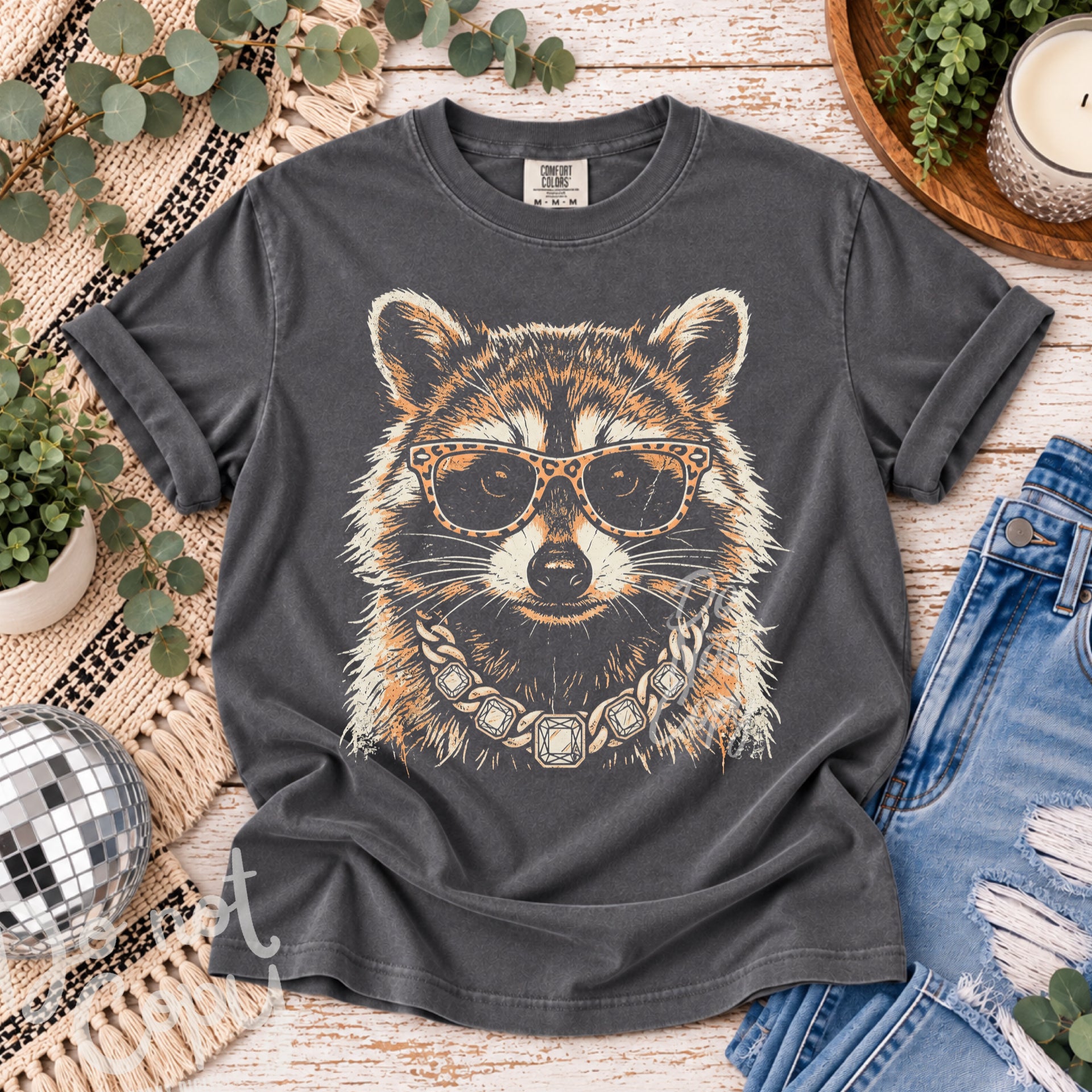 Fancy Raccoon