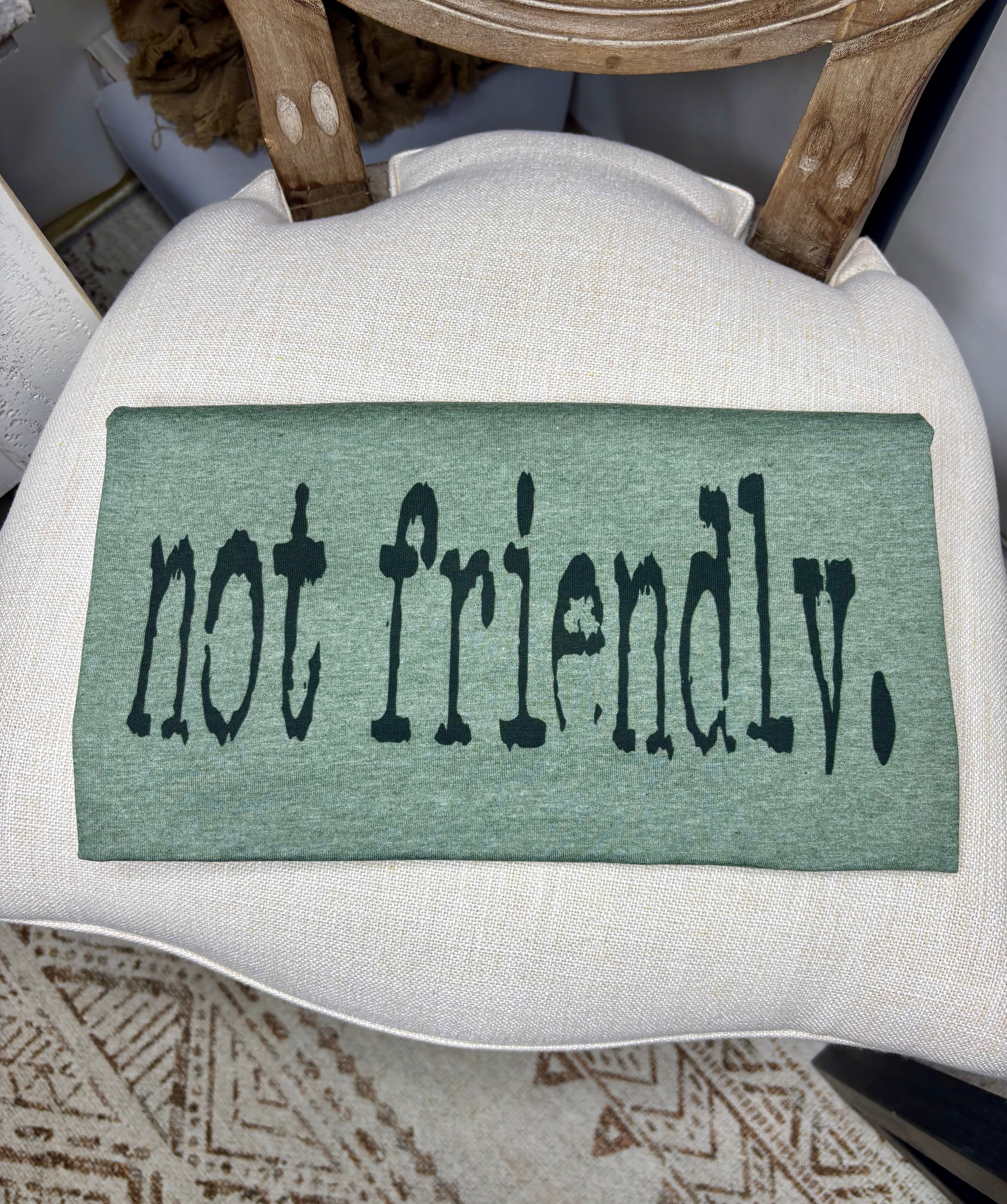 Not Friendly (Softstyle Tee)