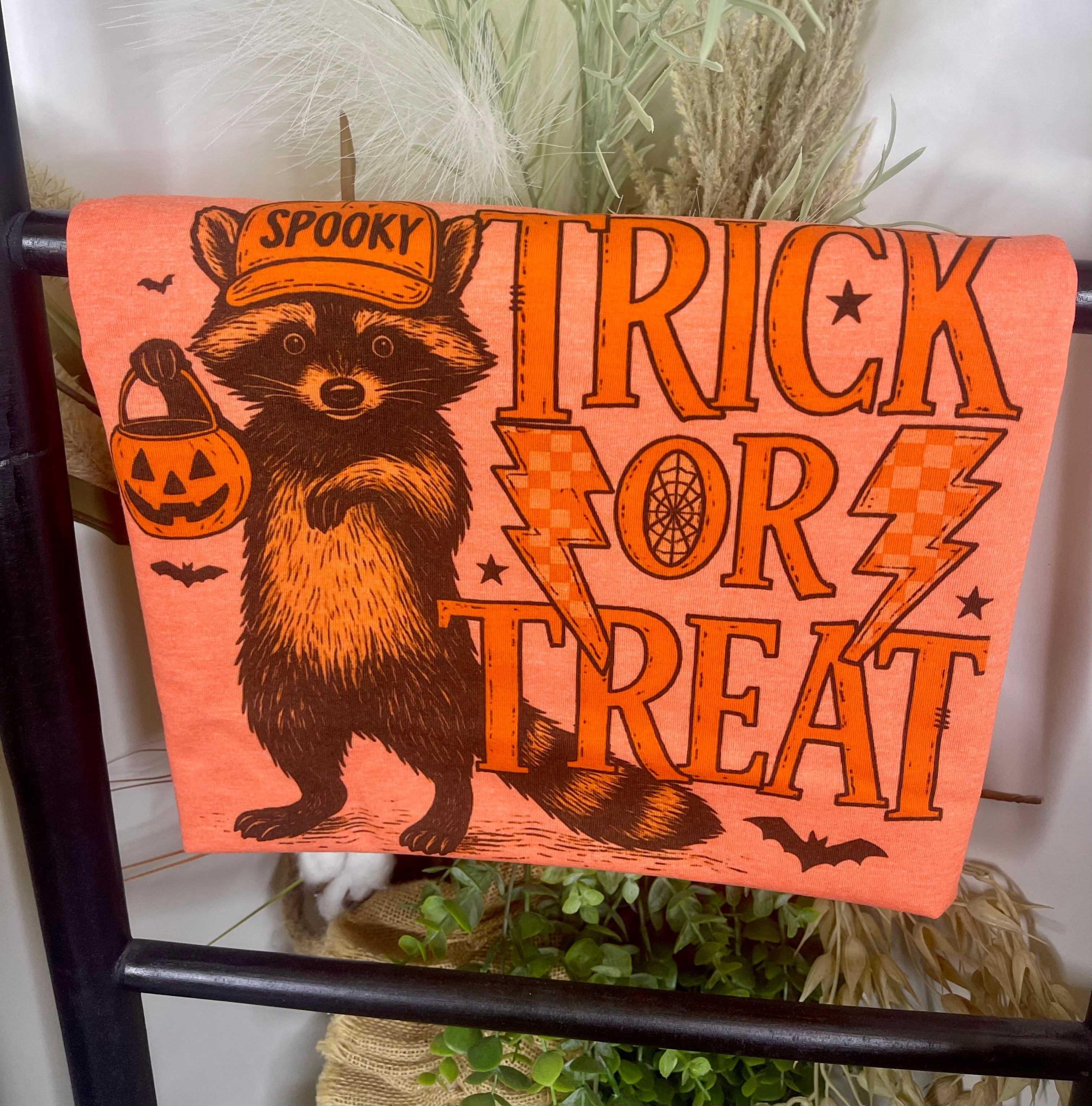 Trick or Treat Raccoon (Softstyle Tee)