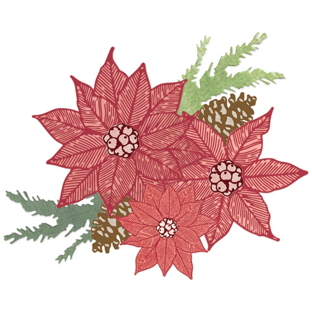 SCANDAL 直筆サイン　Best★Xmas Amazon.co.jp: SCANDAL 直筆サイン入りチェキ スキャンダル 直筆