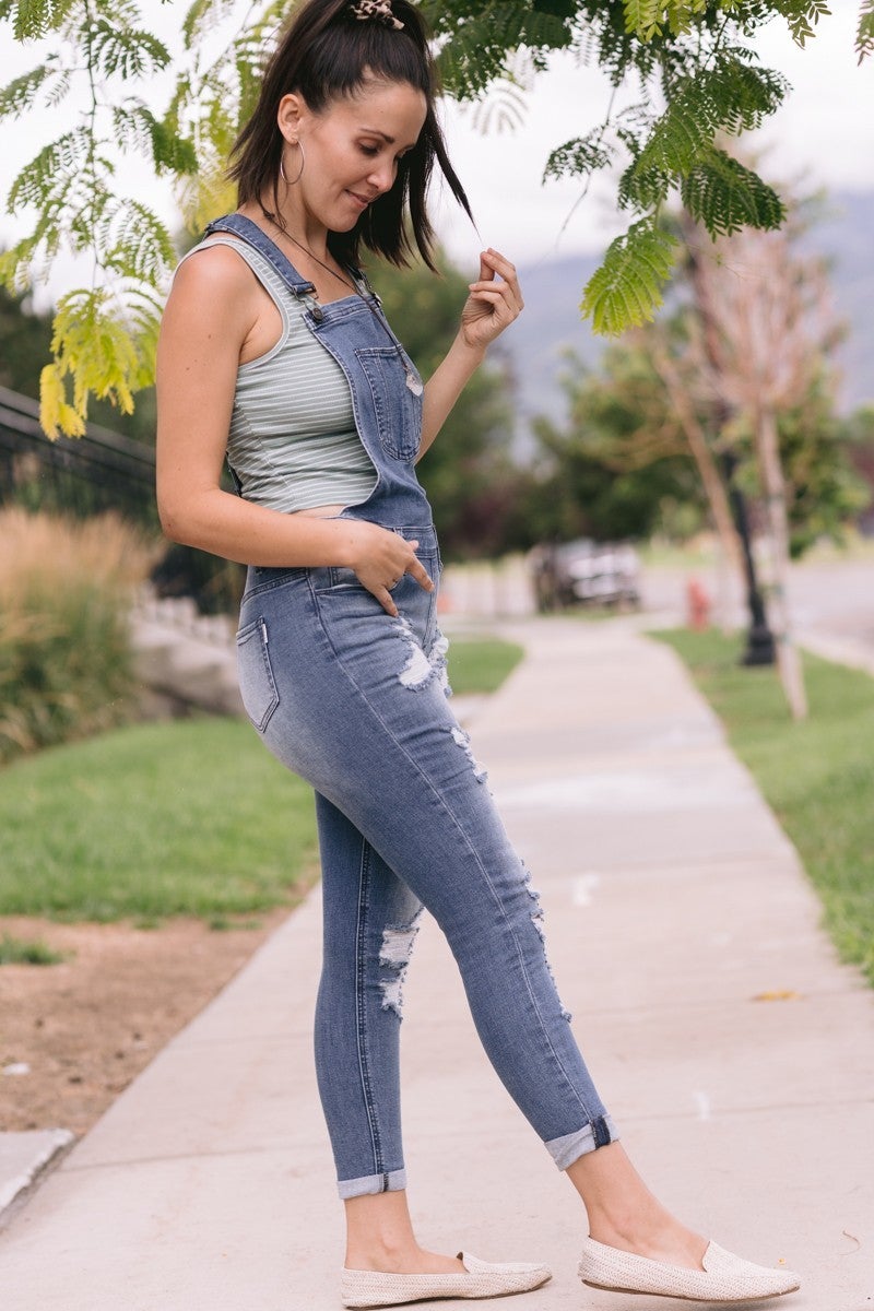 Nature Denim High Rise Overalls 